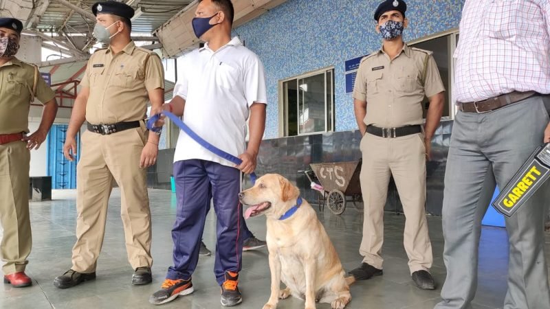 Indian Independence Day