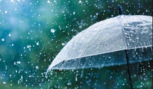 weather