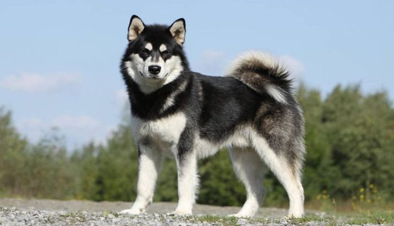 সম্পত্তি