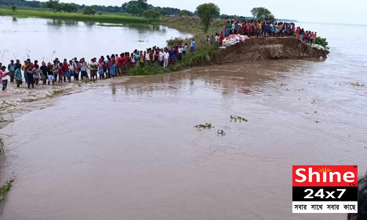 সুন্দরবনে