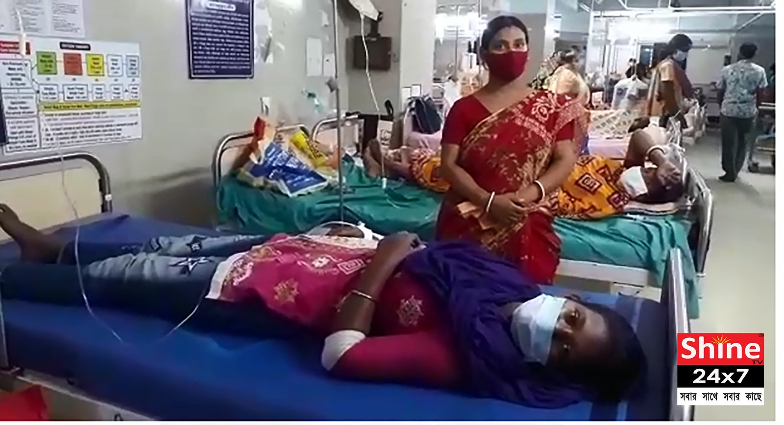 মাশরুম