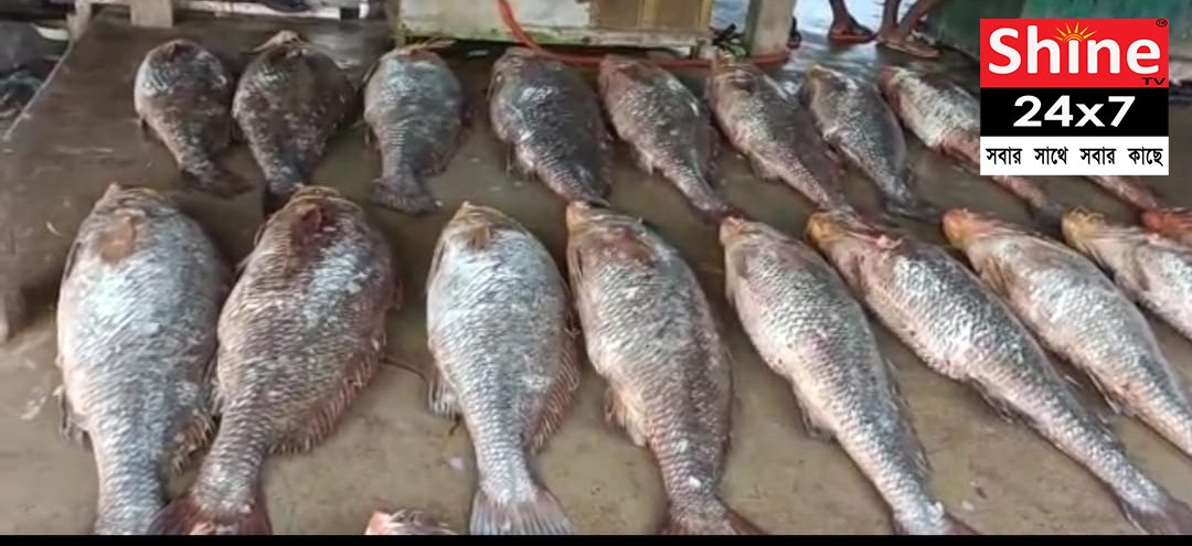 তেলিয়া