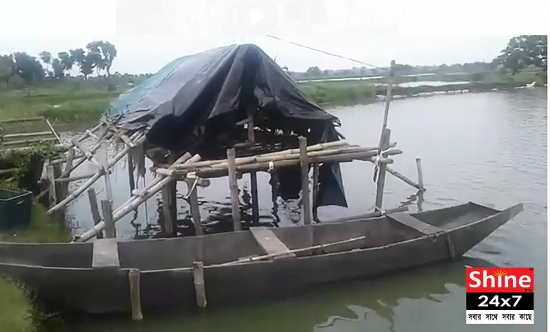 মেছোভেড়ি