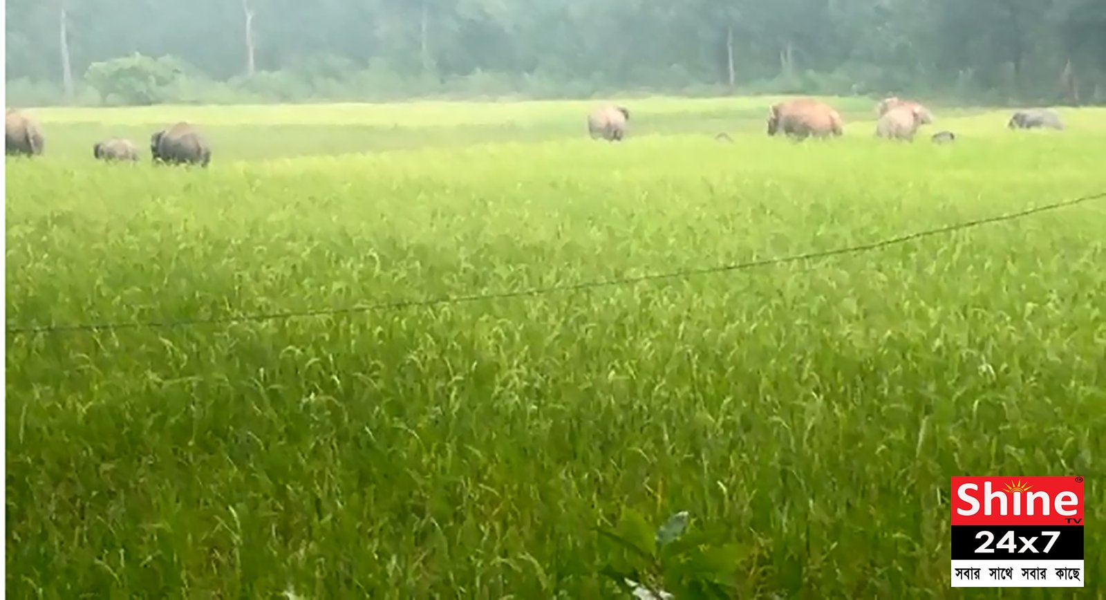 অতিষ্ঠ