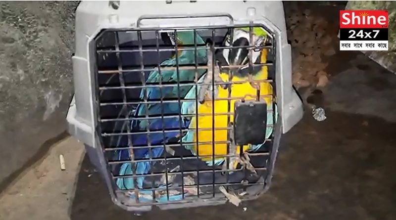 ম্যাকাও