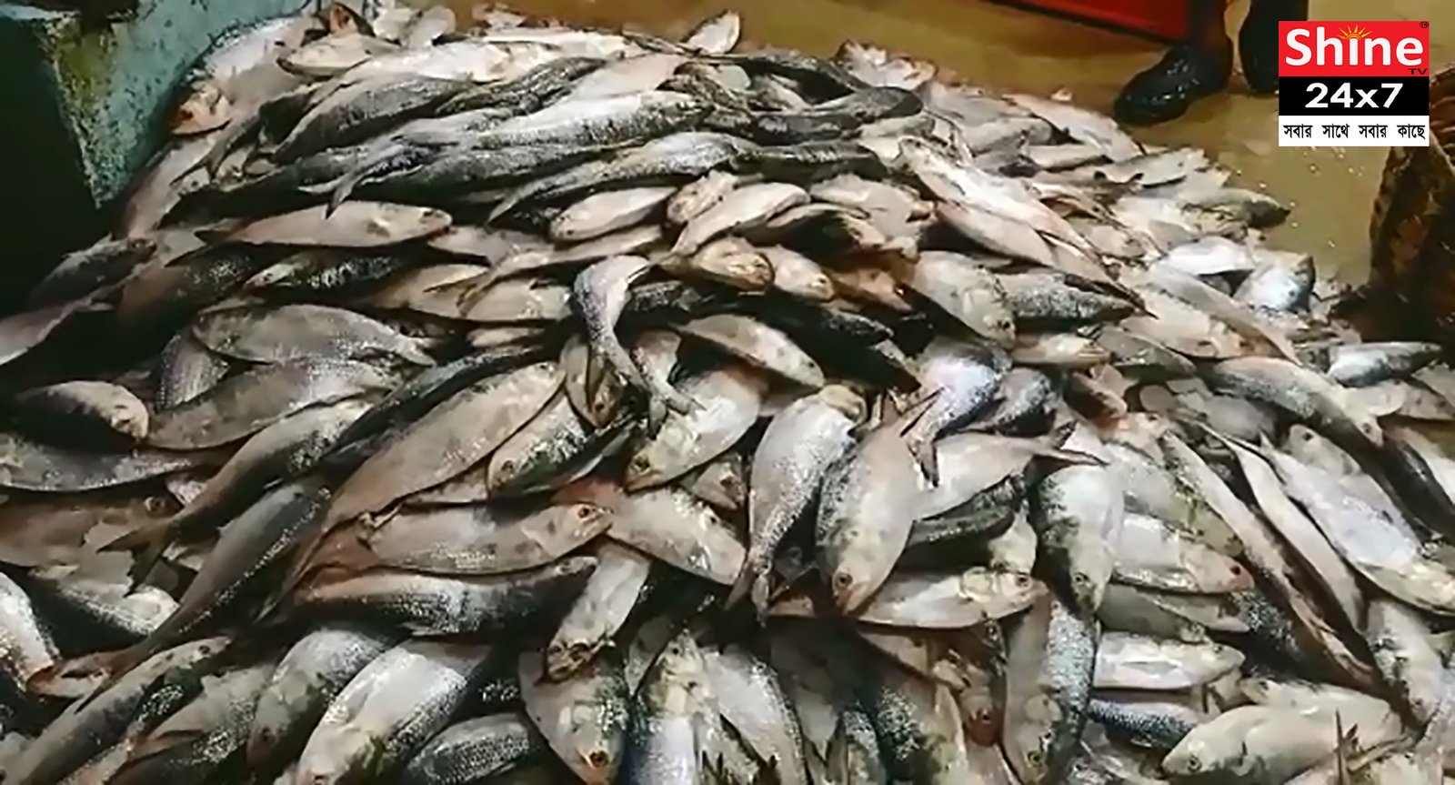 মৎস্যজীবীদের