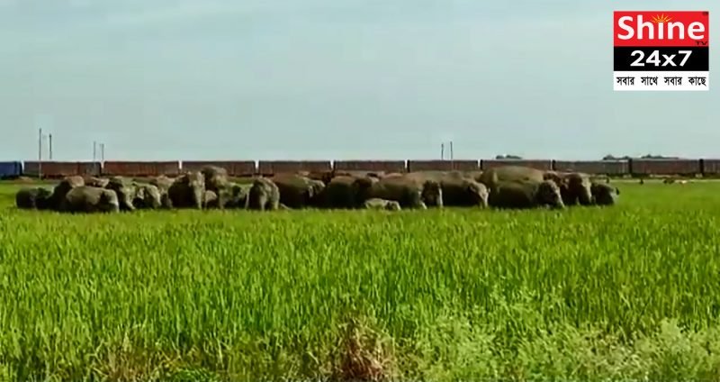 ধীরে
