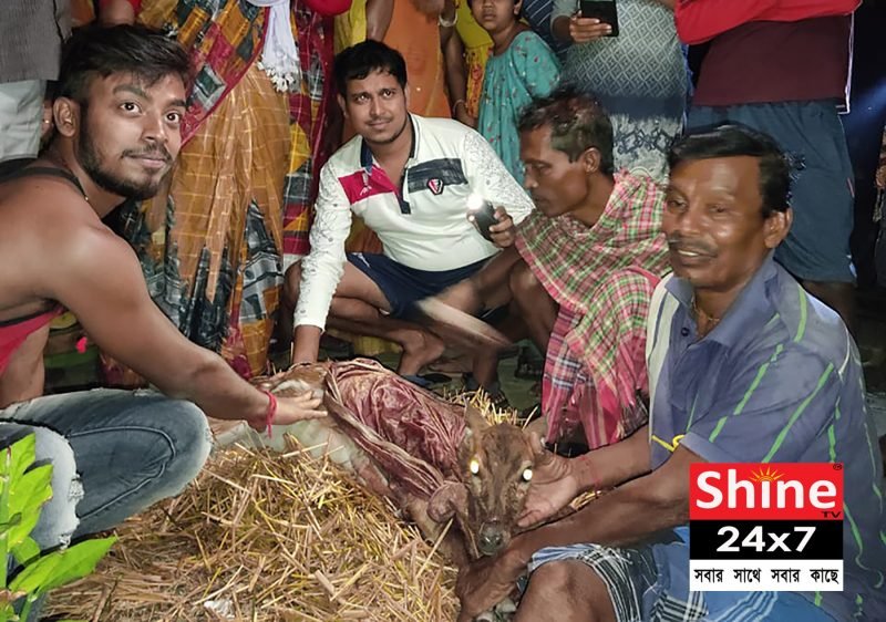 হরিণ