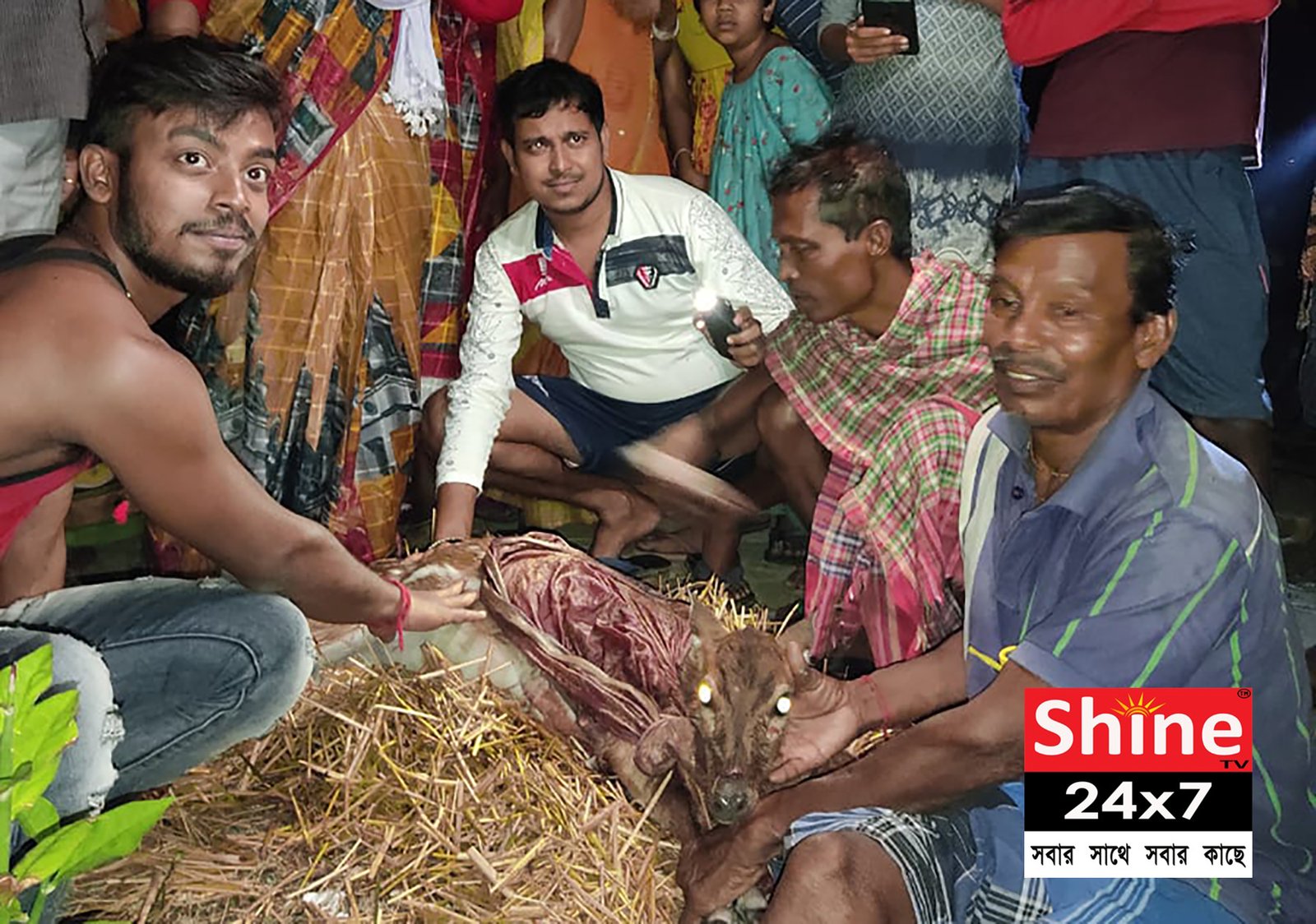 হরিণ