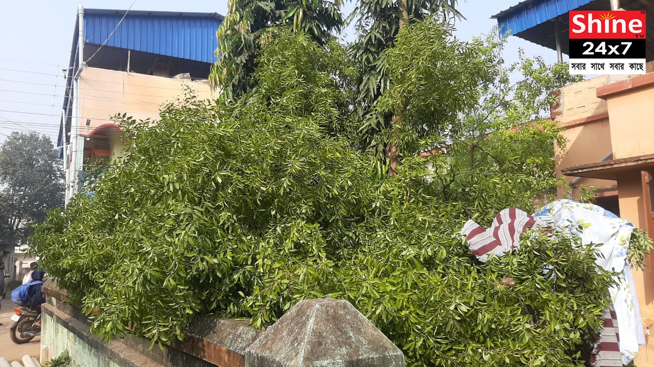 এলাকায়
