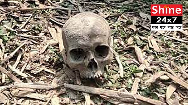 ধানতলায়
