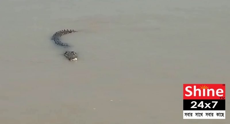 গঙ্গায়