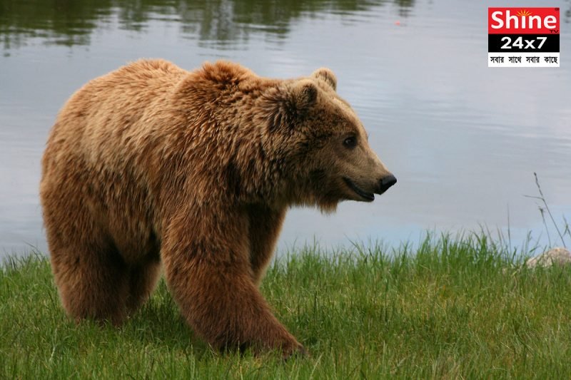 লোকালয়ে