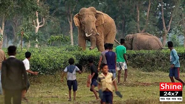 লোকালয়ে