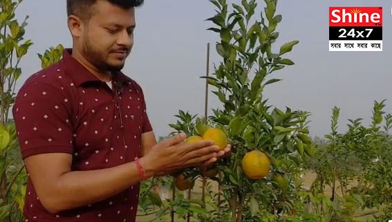 চিলতে