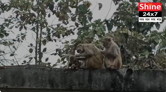 জলপাইগুড়ির