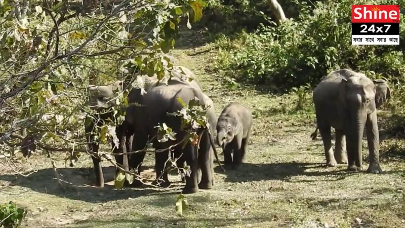 মাঝরাতে