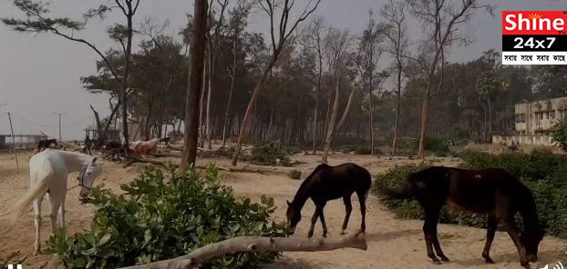 সৈকতে