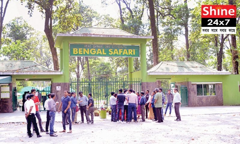 হাউজফুল