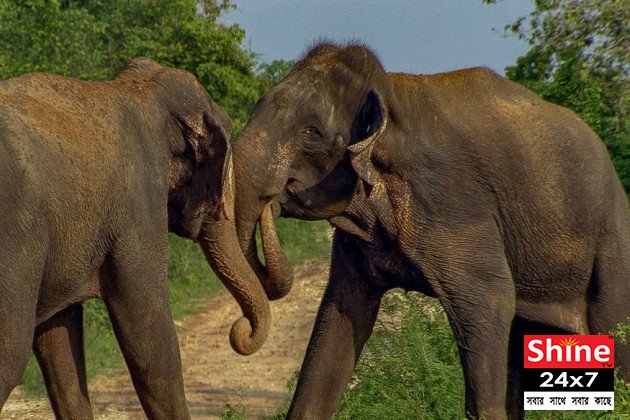 লড়াই