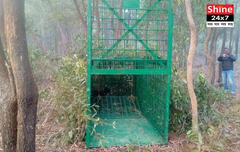 বসালো