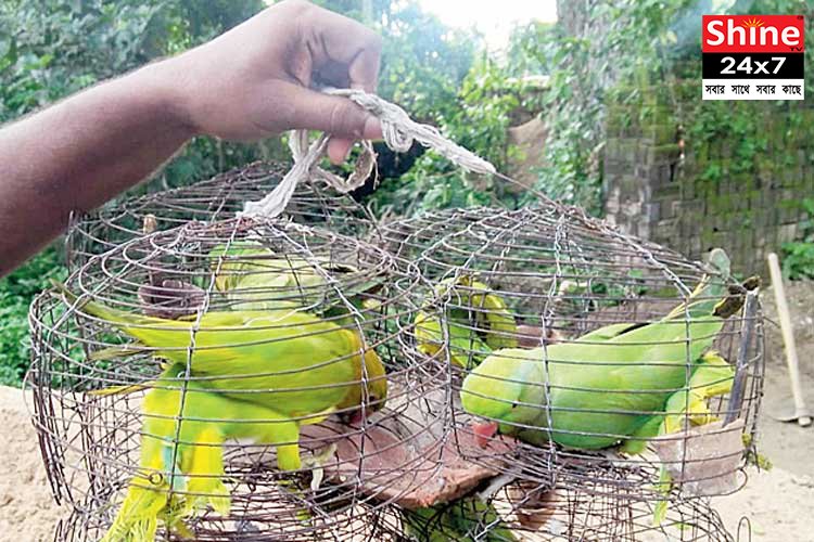 চোরাই
