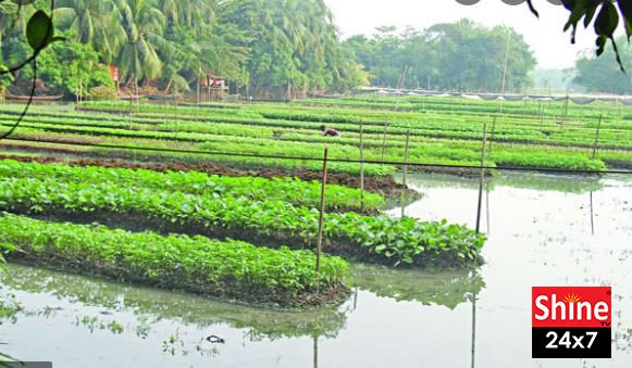 কীটনাশক