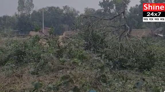 সাফ