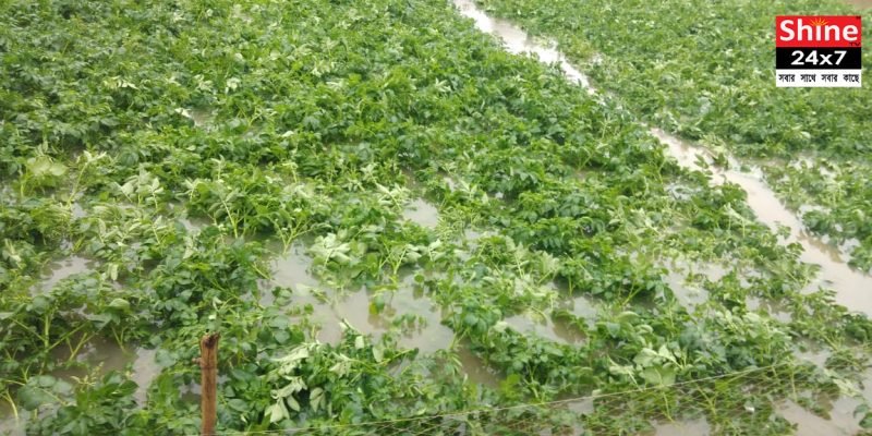 প্রতিমা