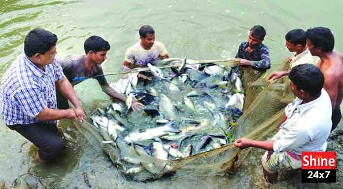 আড্ডায়