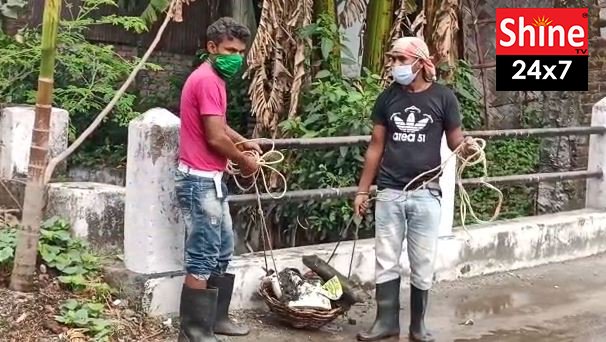 ফুলেশ্বরী