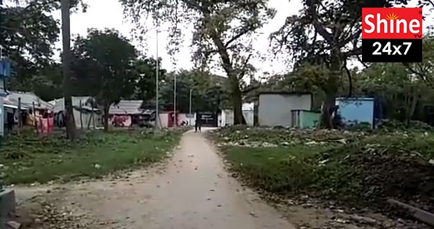আমবাগান