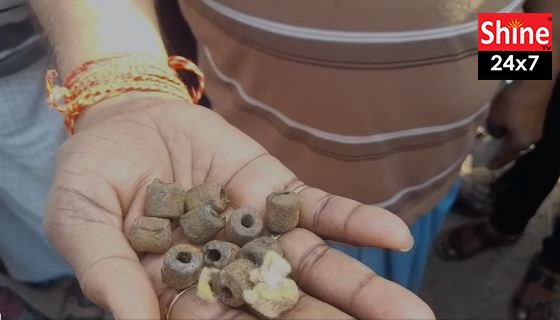 হালিশহরে