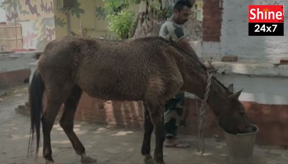 অবসর