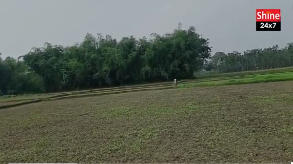 ফালাকাটা