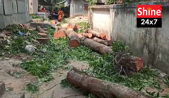 হেলেঞ্চাতে