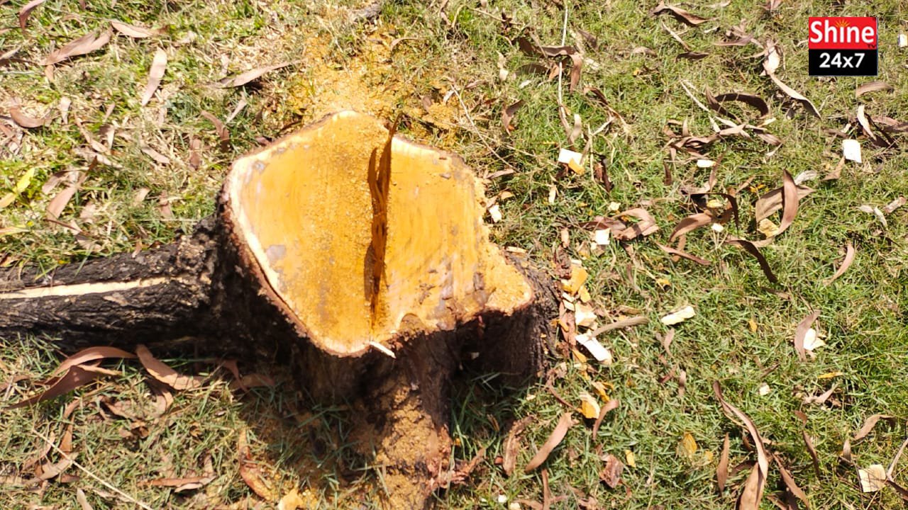 বনরক্ষার